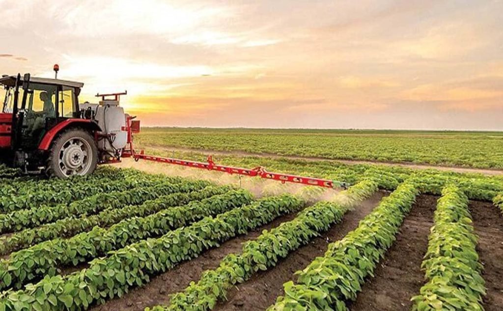 واردات بذر کشاورزی