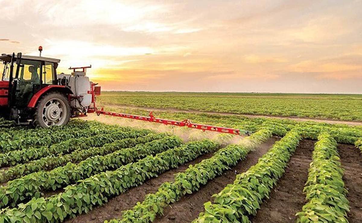 واردات بذر کشاورزی