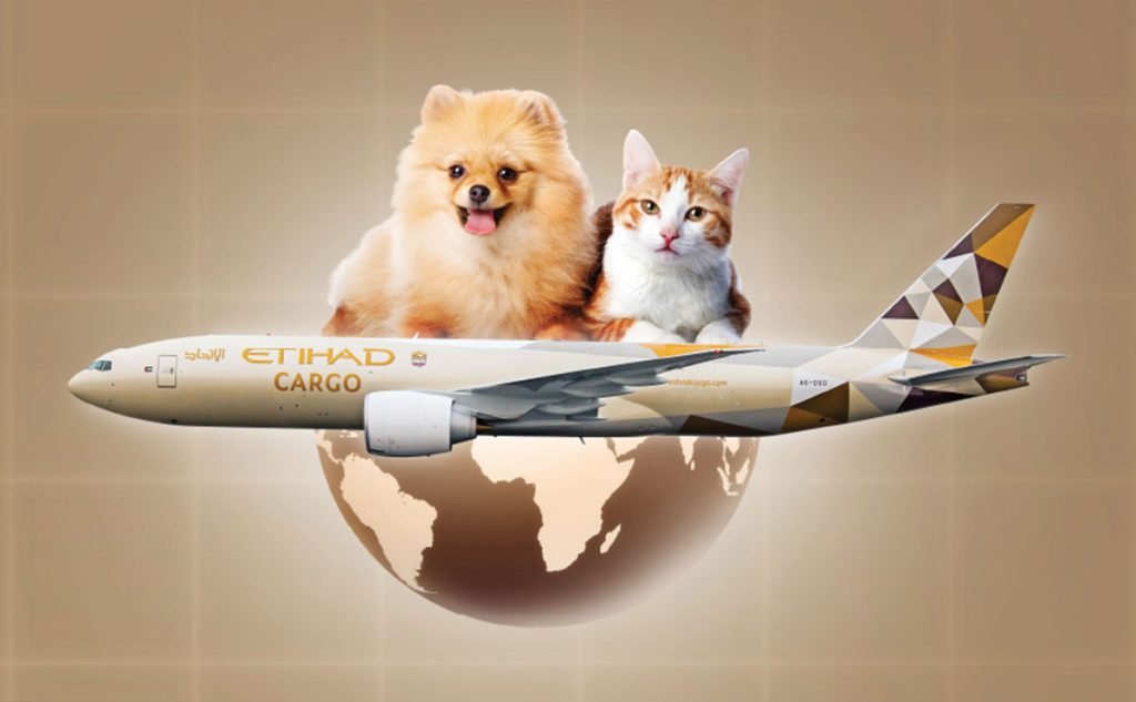 کارگو حیوانات