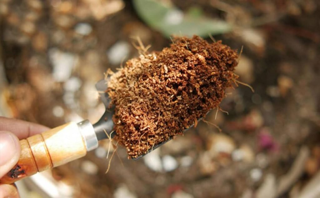 خرید خال کوکوپیت