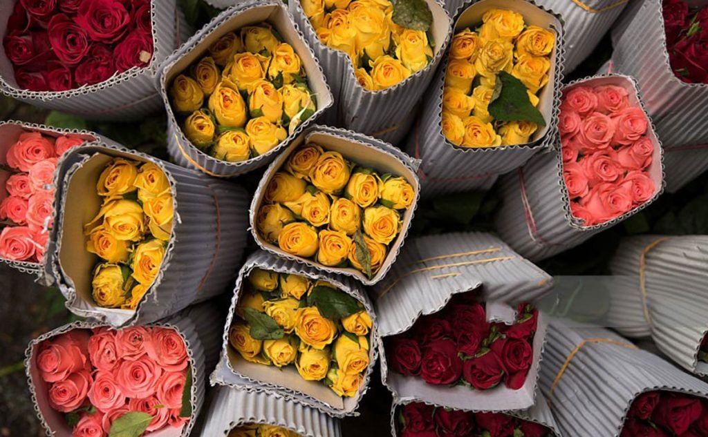 صادرات گل شاخه بریده