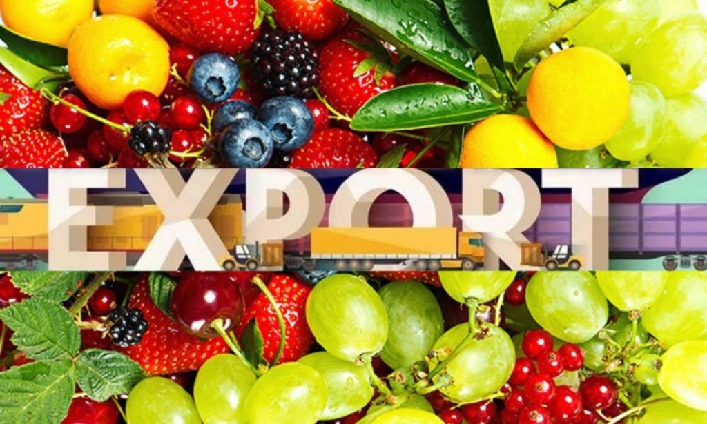 مقاصد صادرات میوه ایران