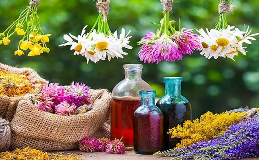 همه چیز درباره شرایط صادرات گیاهان دارویی