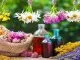 همه چیز درباره شرایط صادرات گیاهان دارویی
