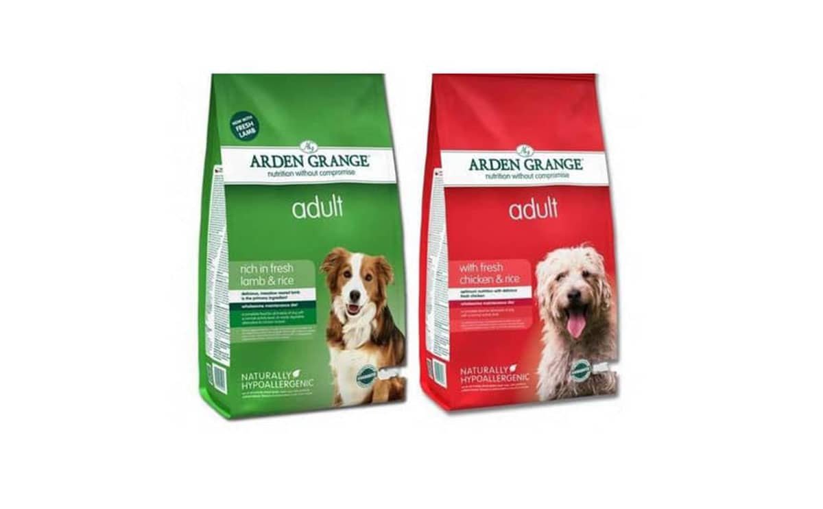 لیست 20 برند برتر غذا سگ + راهنمای خرید و بررسی قیمت