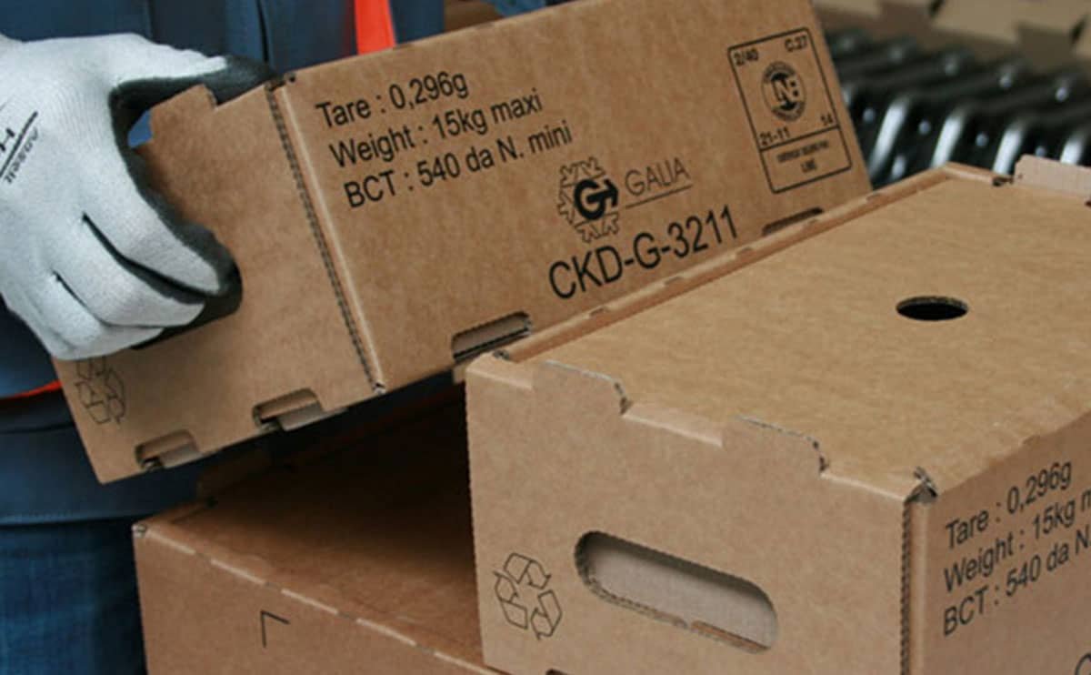 آشنایی با مفاهیم SKD، CKD و دیگر اصطلاحات واردات