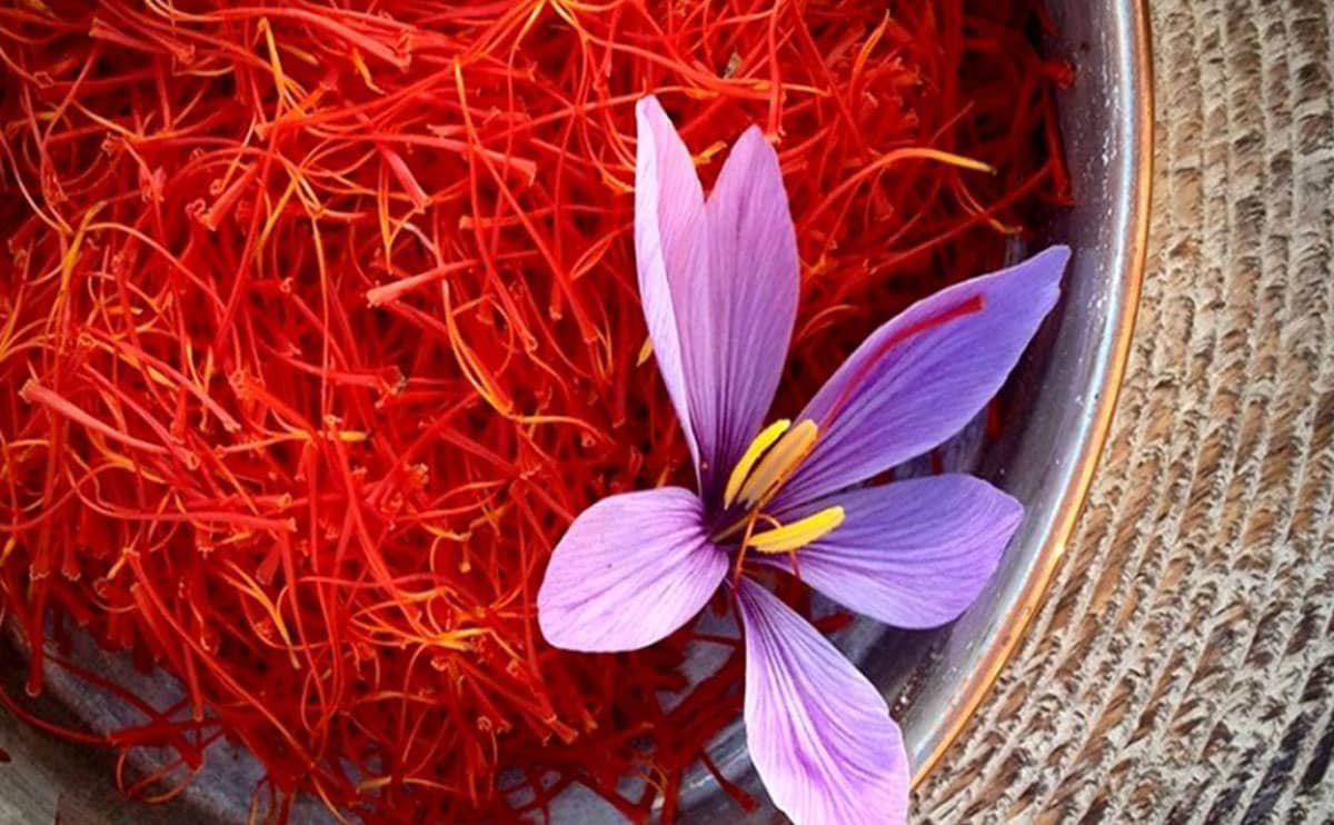 دو راه صادرات زعفران به دبی؛ چمدانی یا عمده؟