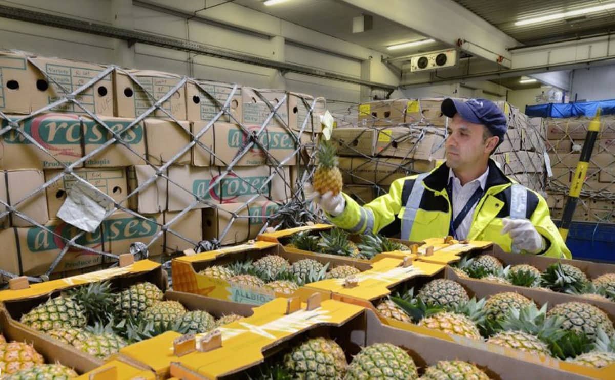 حمل هوایی بارهای فاسد شدنی (شرایط، روشهای حمل)