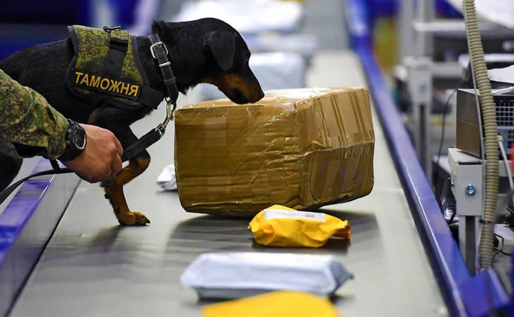 قاچاق کالا چیست و چه مجازاتی دارد؟