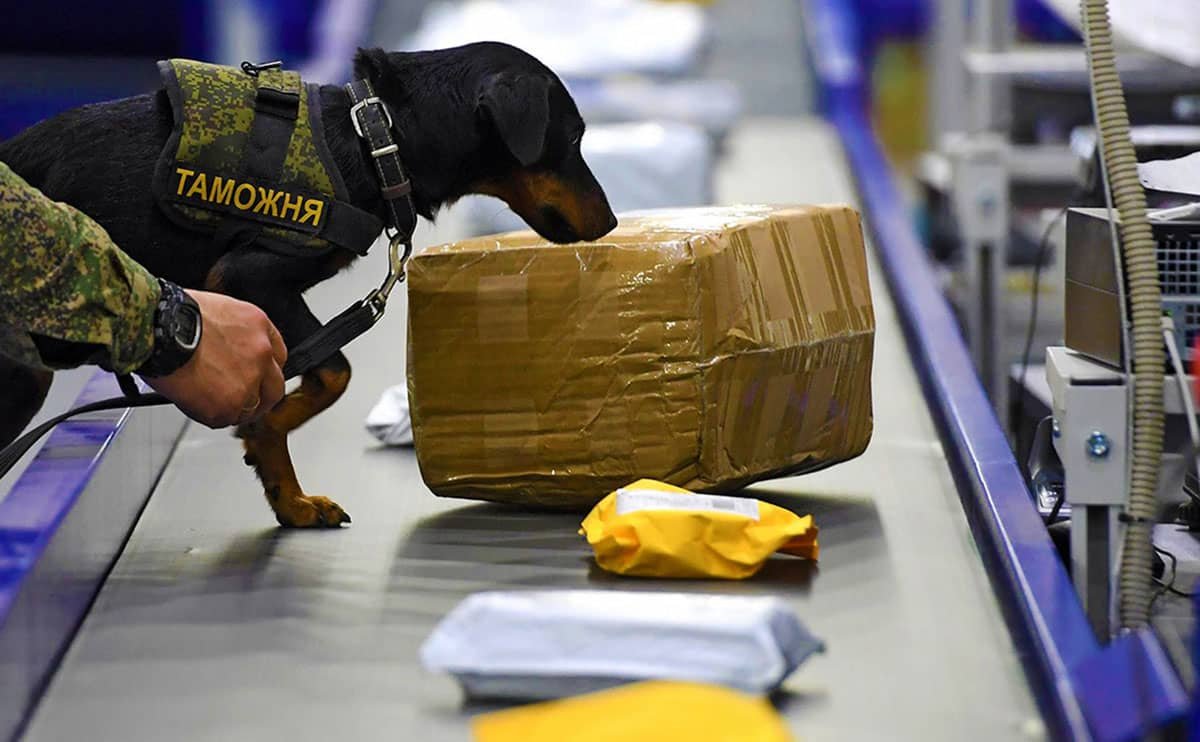 قاچاق کالا چیست و چه مجازاتی دارد؟