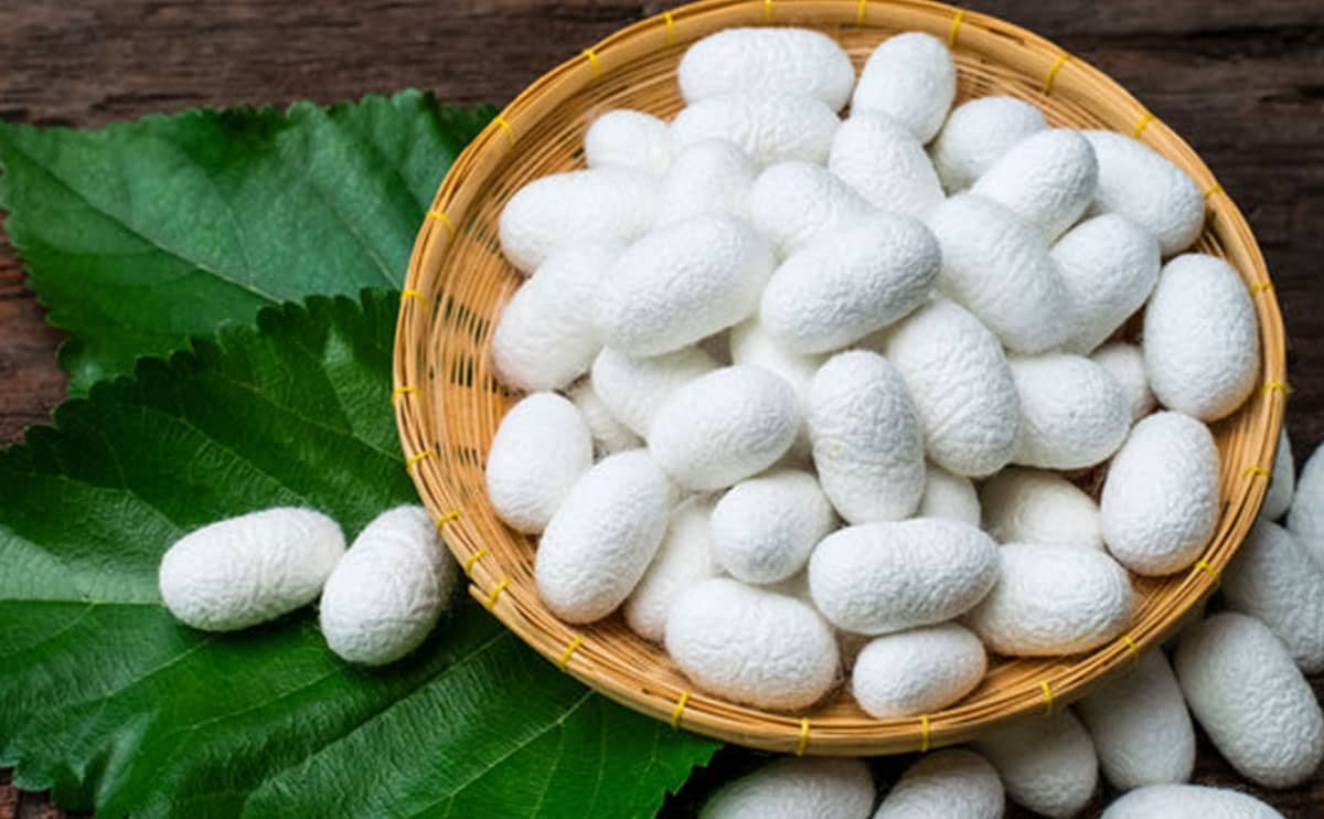 واردات ابریشم