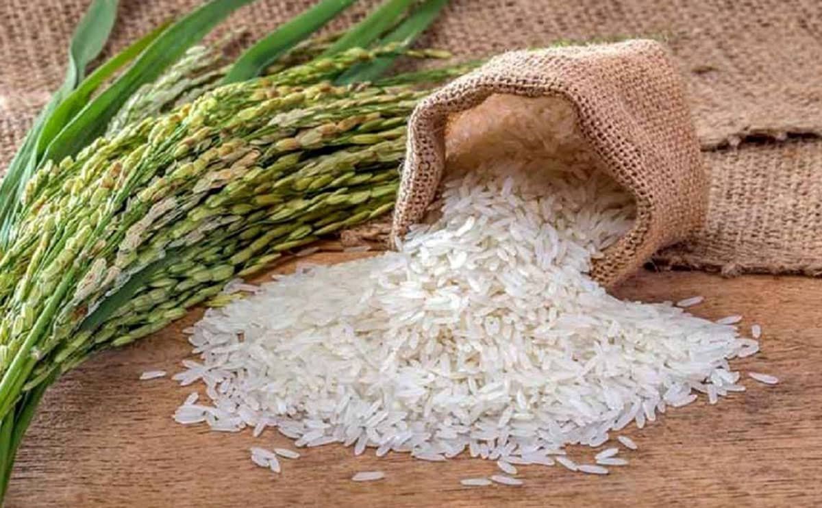 ترخیص و واردات برنج