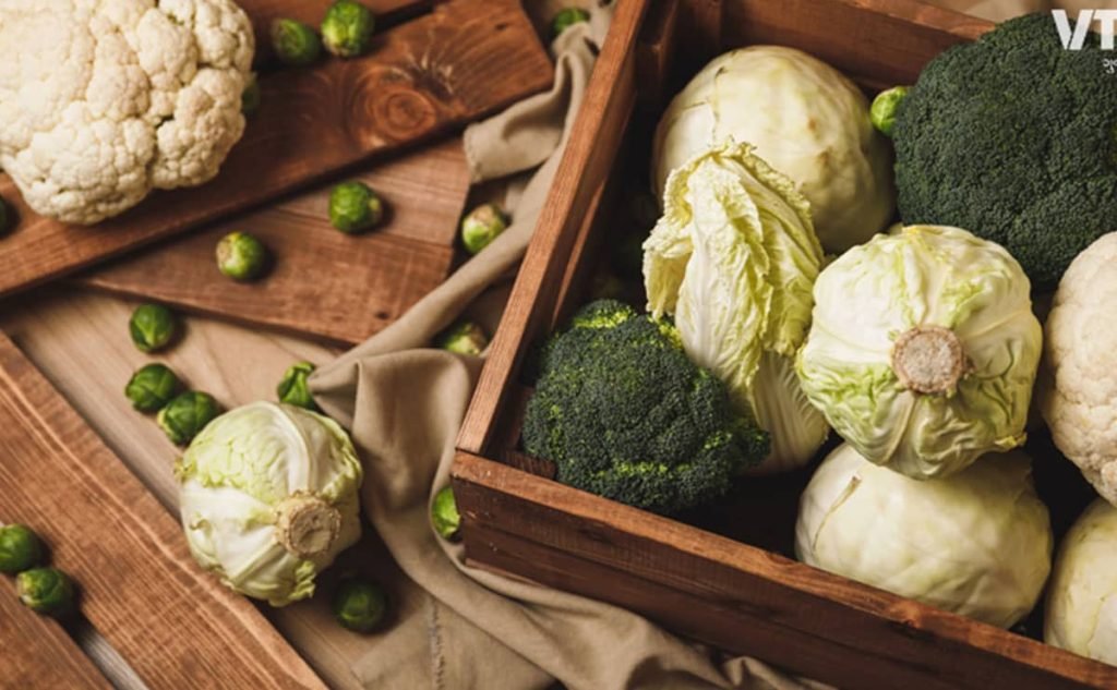 صفر تا صد صادرات کلم