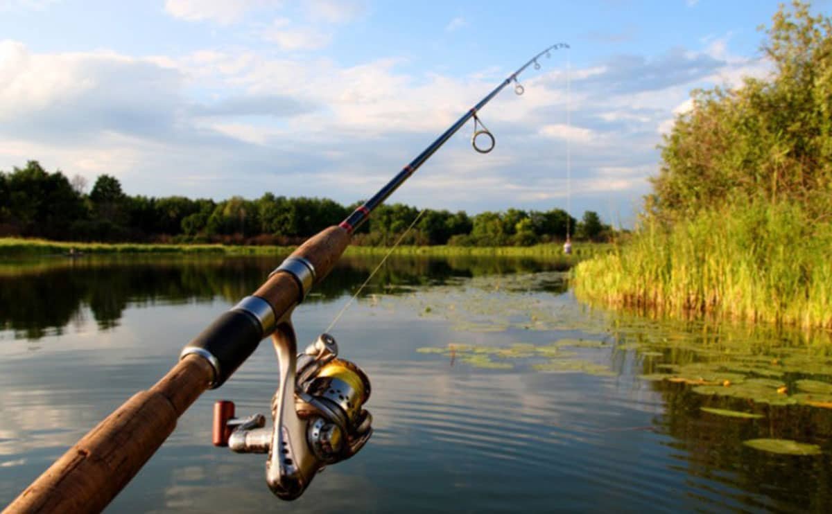 راهنمای جامع واردات لوازم ماهیگیری و تجهیزات ماهیگیری