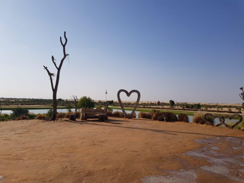 8a65f013a81d53df70668e23d8f236e2