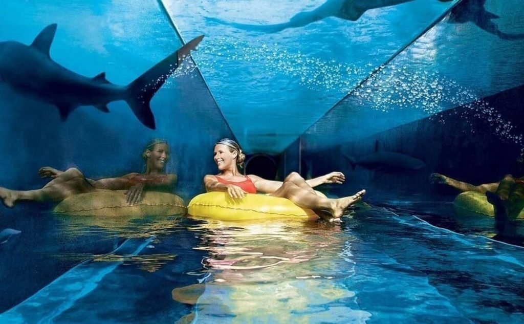 آکواریوم هتل آتلانتیس: بخش‌های مختلف آکواریوم لاست چمبرز