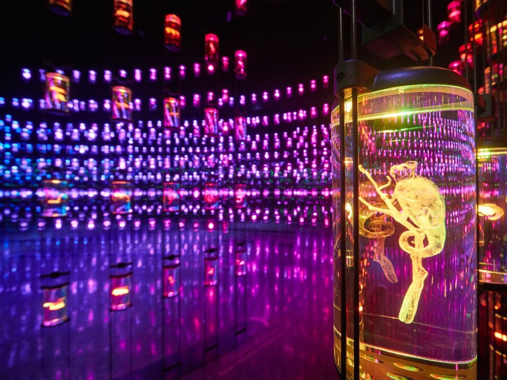 Museum-of-the-Future-45-1024x768