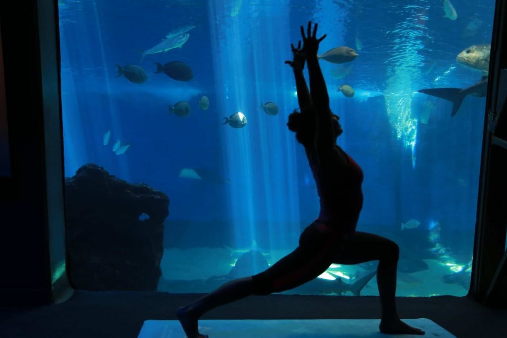 aquari-om-header-scaled