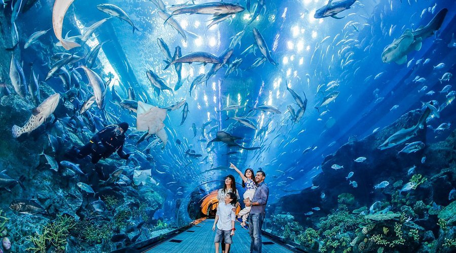 dubai-aquarium-underwater