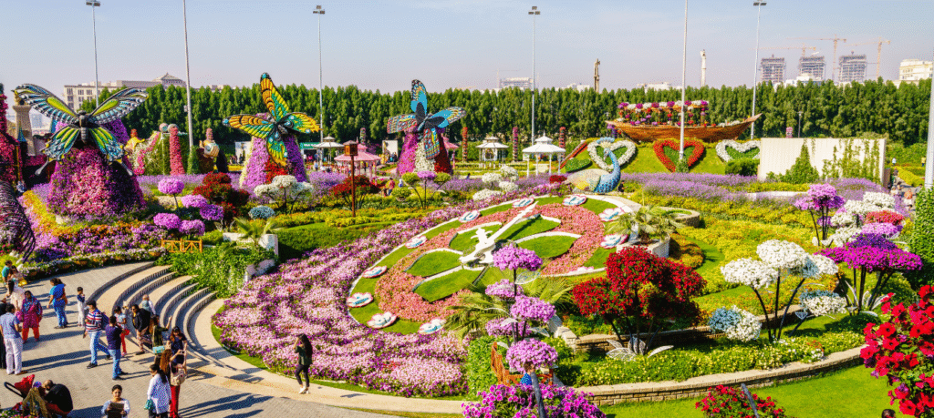 dubai_butterfly_garden-1